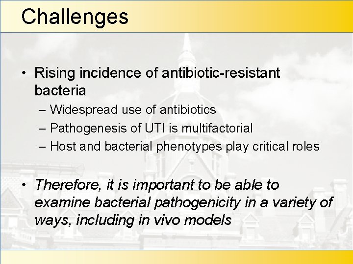 Challenges • Rising incidence of antibiotic-resistant bacteria – Widespread use of antibiotics – Pathogenesis