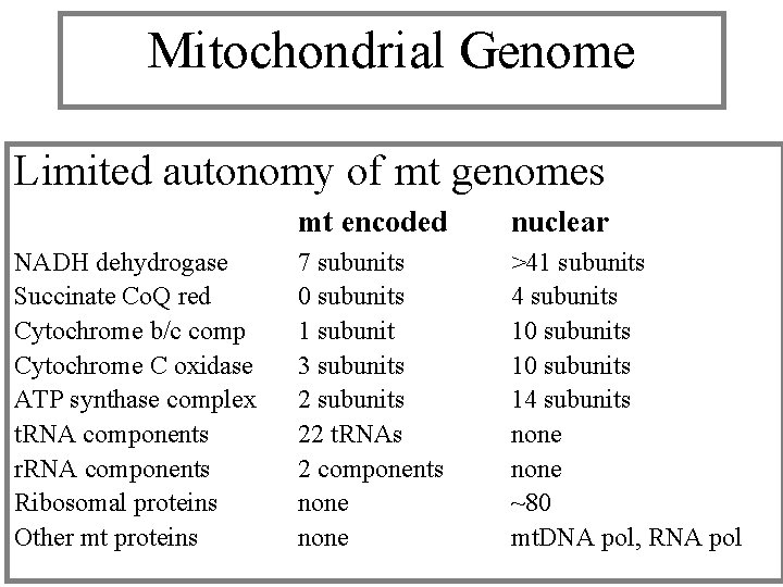 Mitochondrial Genome Limited autonomy of mt genomes NADH dehydrogase Succinate Co. Q red Cytochrome Mitochondrial Genome Limited autonomy of mt genomes NADH dehydrogase Succinate Co. Q red Cytochrome