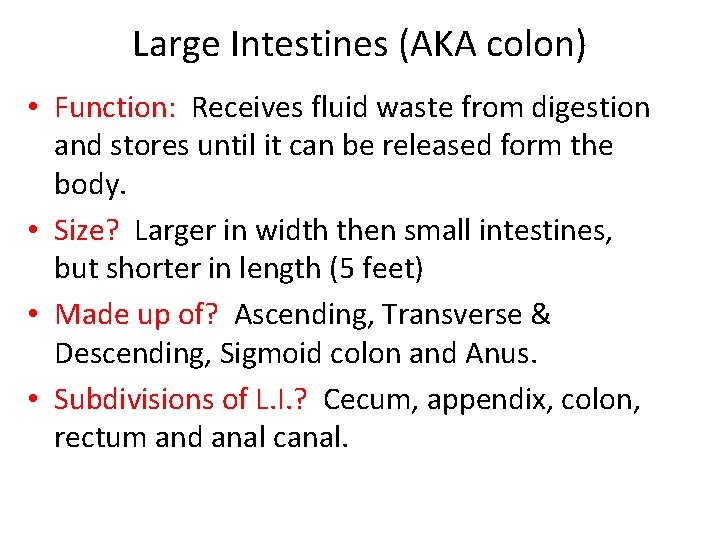 Large Intestines (AKA colon) • Function: Receives fluid waste from digestion and stores until