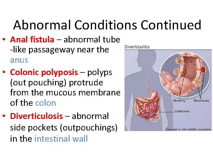 Abnormal Conditions Continued • Anal fistula – abnormal tube -like passageway near the anus