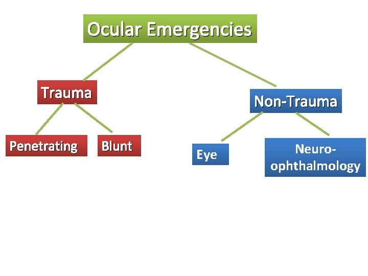 Ocular Emergencies Trauma Penetrating Non-Trauma Blunt Eye Neuroophthalmology 