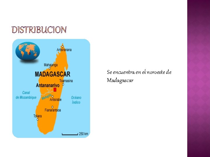 Se encuentra en el noroeste de Madagascar 