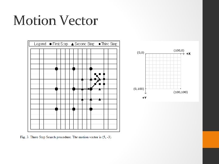 Motion Vector 