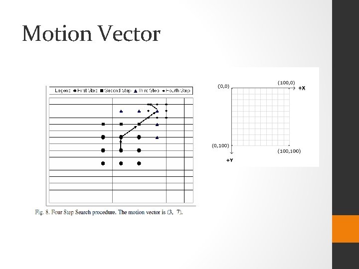 Motion Vector 