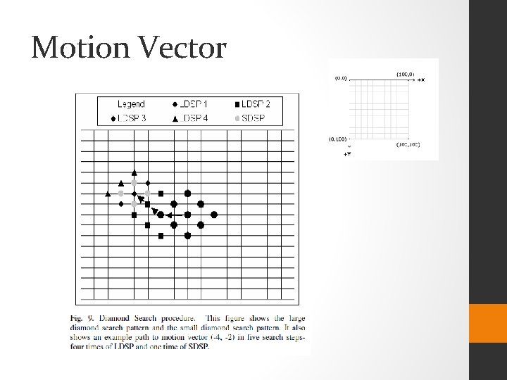 Motion Vector 