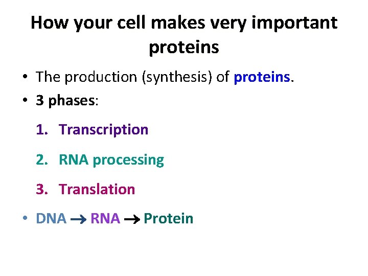 How your cell makes very important proteins • The production (synthesis) of proteins. •