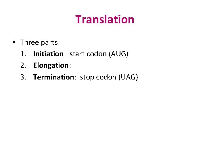 Translation • Three parts: 1. Initiation: start codon (AUG) 2. Elongation: 3. Termination: stop