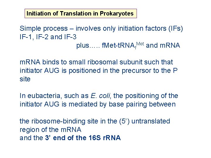Initiation of Translation in Prokaryotes Simple process – involves only initiation factors (IFs) IF-1,