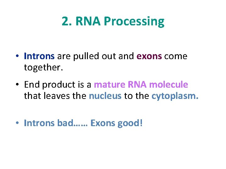 2. RNA Processing • Introns are pulled out and exons come together. • End