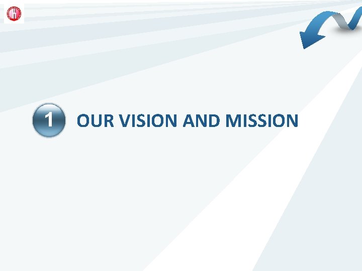 1 OUR VISION AND MISSION 