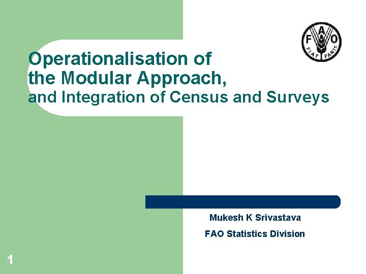 Operationalisation of the Modular Approach, and Integration of Census and Surveys Mukesh K Srivastava