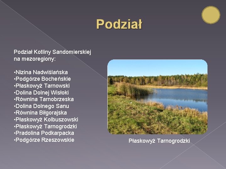 Podział Kotliny Sandomierskiej na mezoregiony: • Nizina Nadwiślańska • Podgórze Bocheńskie • Płaskowyż Tarnowski