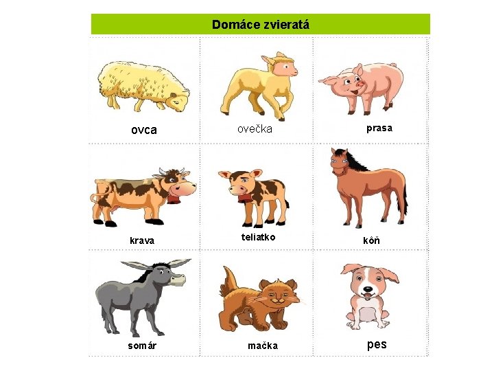 Domáce zvieratá ovca ovečka krava teliatko somár mačka prasa kôň pes 