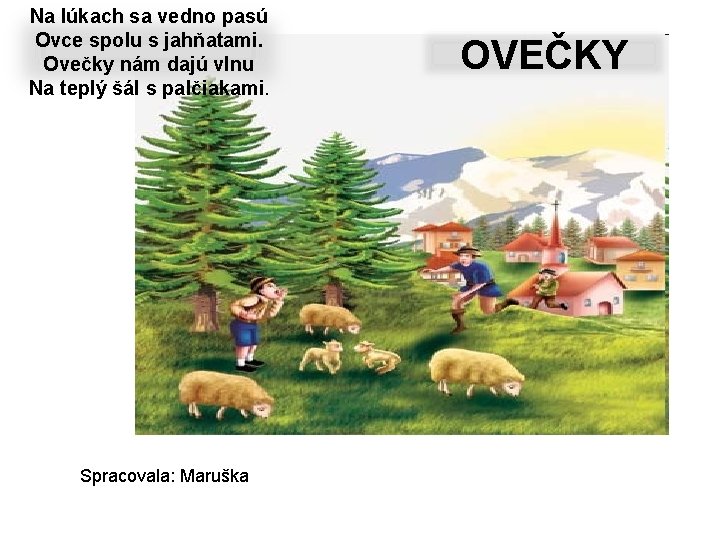 Na lúkach sa vedno pasú Ovce spolu s jahňatami. Ovečky nám dajú vlnu Na