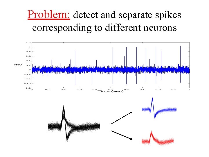 Problem: detect and separate spikes corresponding to different neurons 