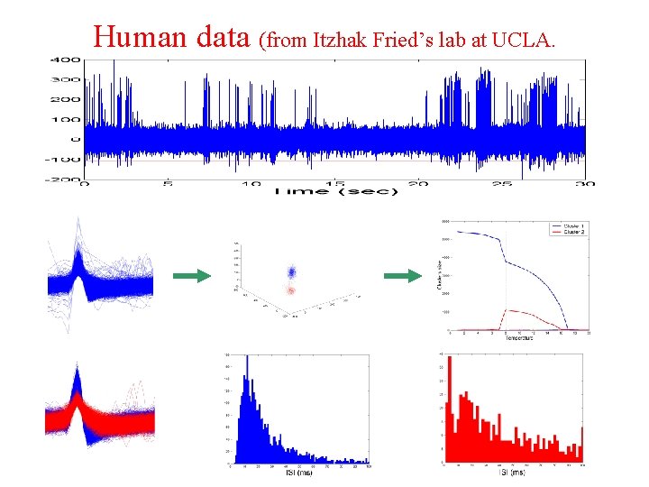 Human data (from Itzhak Fried’s lab at UCLA. 