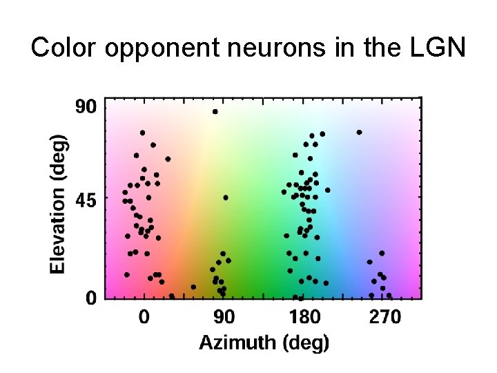 Color opponent neurons in the LGN 
