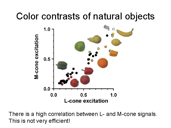 Color contrasts of natural objects There is a high correlation between L- and M-cone