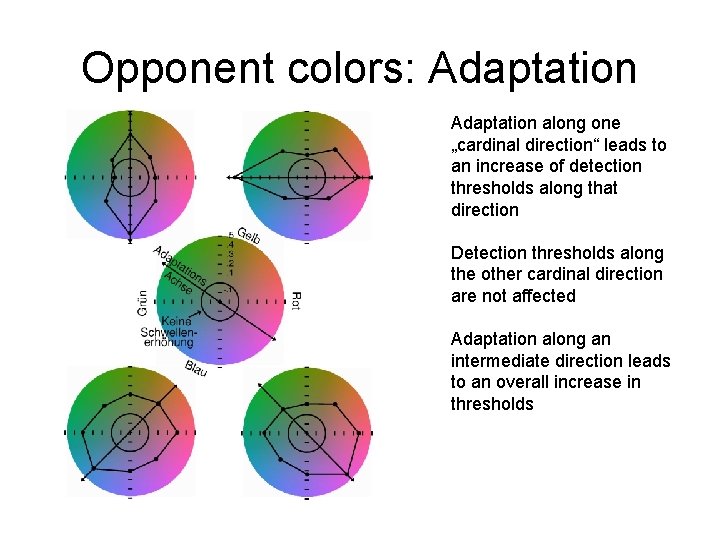 Opponent colors: Adaptation along one „cardinal direction“ leads to an increase of detection thresholds