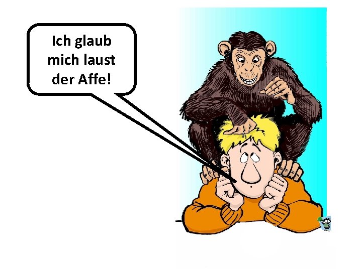 Ich glaub mich laust der Affe! 