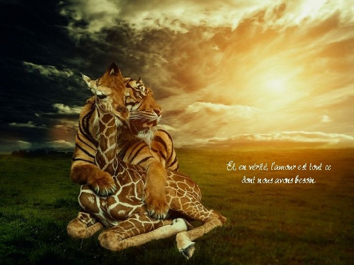 Et, en vérité, l'amour est tout ce dont nous avons besoin. Et, en vérité, l'amour est tout ce dont nous avons besoin.