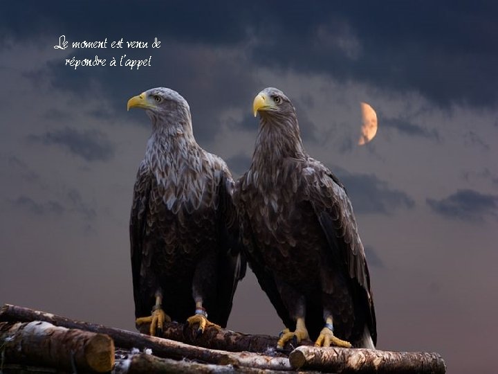 Le moment est venu de répondre à l’appel Le moment est venu de répondre à l’appel