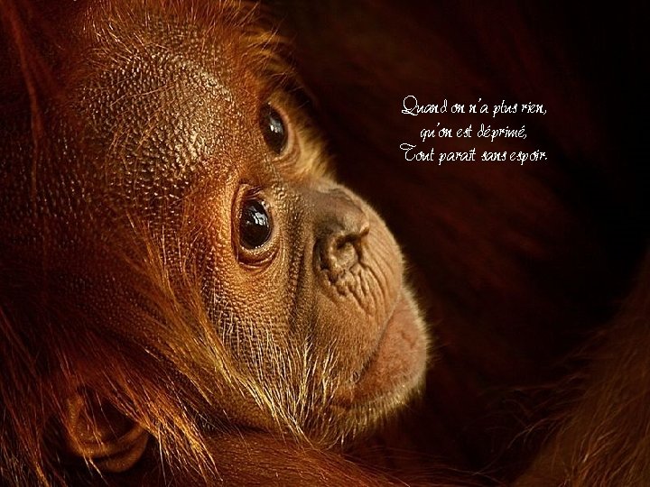 Quand on n’a plus rien, qu’on est déprimé, Tout paraît sans espoir. Quand on n’a plus rien, qu’on est déprimé, Tout paraît sans espoir.