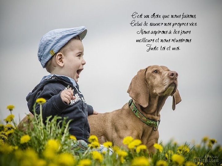 C’est un choix que nous faisons, Celui de sauver nos propres vies. Nous aspirons C’est un choix que nous faisons, Celui de sauver nos propres vies. Nous aspirons