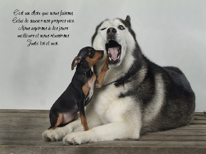 C’est un choix que nous faisons, Celui de sauver nos propres vies. Nous aspirons C’est un choix que nous faisons, Celui de sauver nos propres vies. Nous aspirons