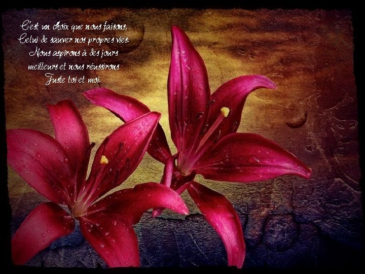 C’est un choix que nous faisons, Celui de sauver nos propres vies. Nous aspirons C’est un choix que nous faisons, Celui de sauver nos propres vies. Nous aspirons