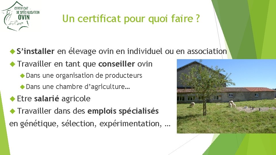 Un certificat pour quoi faire ? S’installer Travailler en élevage ovin en individuel ou