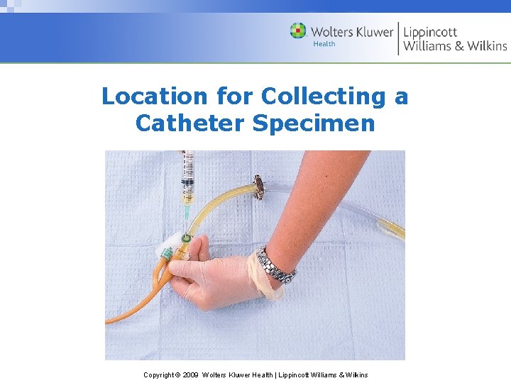 Location for Collecting a Catheter Specimen Copyright © 2009 Wolters Kluwer Health | Lippincott