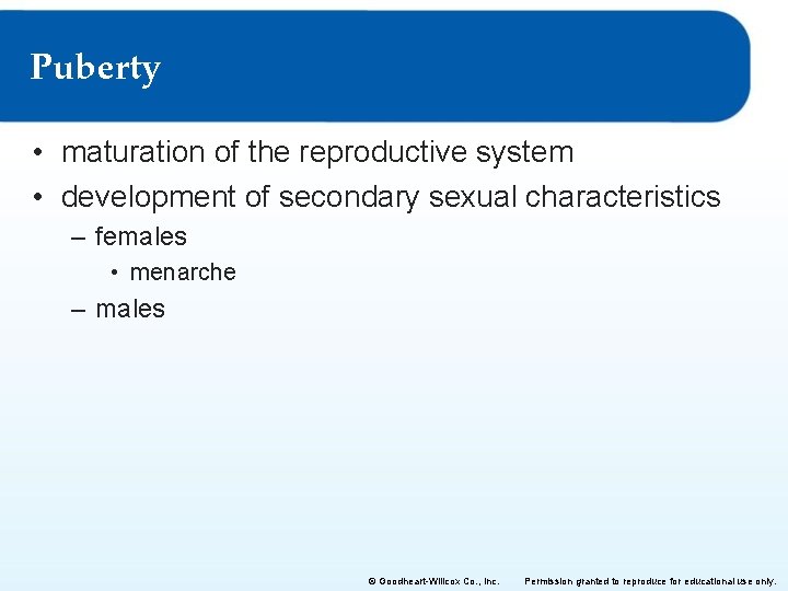 Puberty • maturation of the reproductive system • development of secondary sexual characteristics –