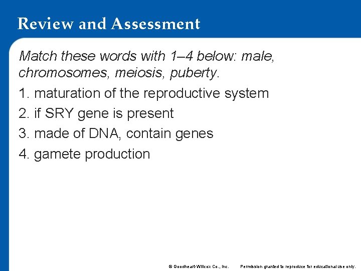 Review and Assessment Match these words with 1– 4 below: male, chromosomes, meiosis, puberty.