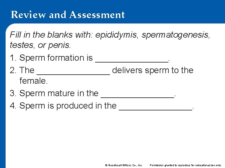 Review and Assessment Fill in the blanks with: epididymis, spermatogenesis, testes, or penis. 1.
