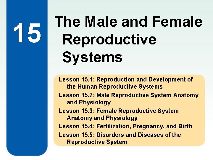 15 The Male and Female Reproductive Systems Lesson 15. 1: Reproduction and Development of