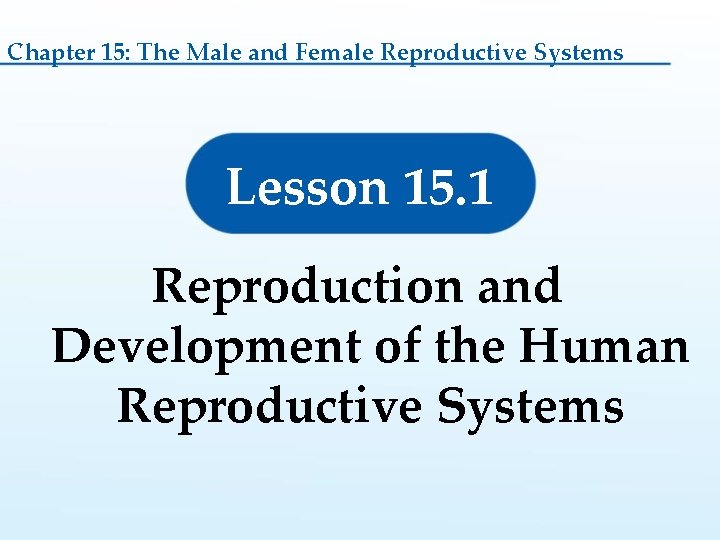 Chapter 15: The Male and Female Reproductive Systems Lesson 15. 1 Reproduction and Development