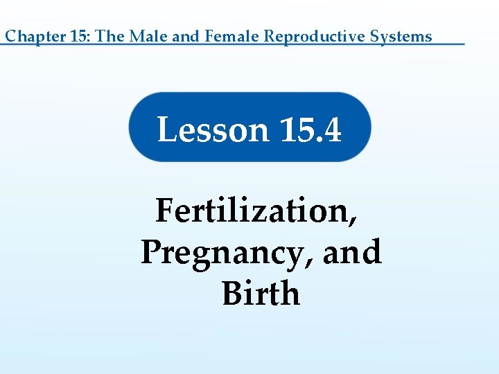 Chapter 15: The Male and Female Reproductive Systems Lesson 15. 4 Fertilization, Pregnancy, and