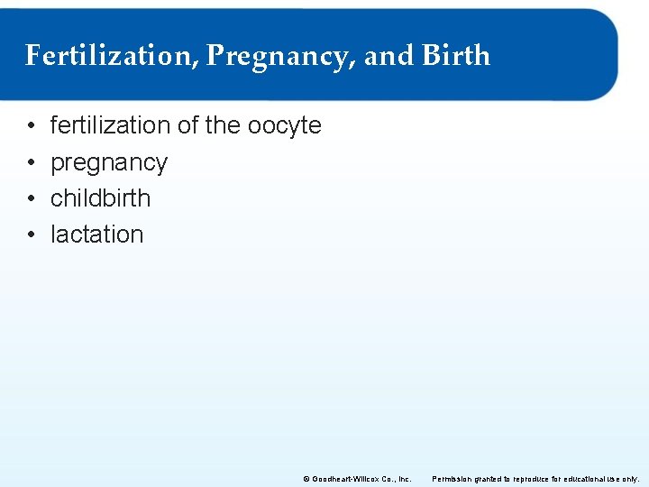 Fertilization, Pregnancy, and Birth • • fertilization of the oocyte pregnancy childbirth lactation ©