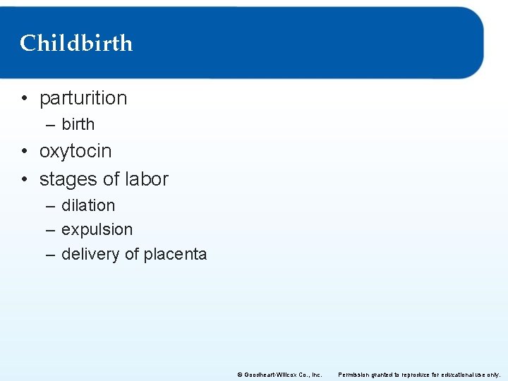 Childbirth • parturition – birth • oxytocin • stages of labor – dilation –