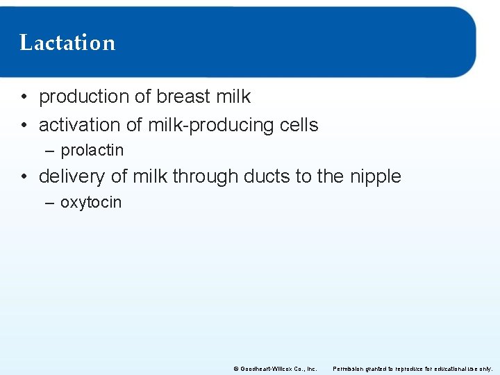 Lactation • production of breast milk • activation of milk-producing cells – prolactin •