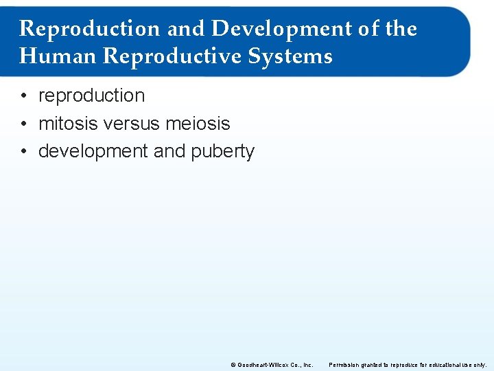 Reproduction and Development of the Human Reproductive Systems • reproduction • mitosis versus meiosis