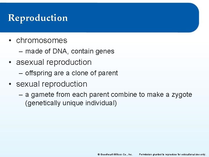 Reproduction • chromosomes – made of DNA, contain genes • asexual reproduction – offspring