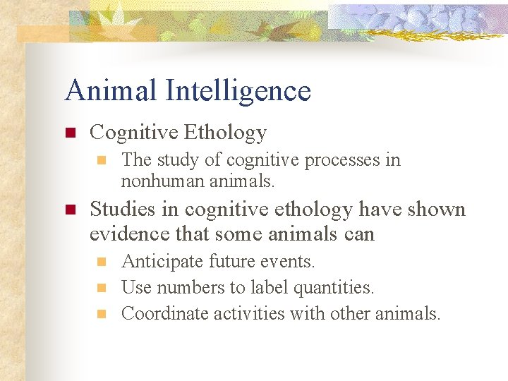 Animal Intelligence n Cognitive Ethology n n The study of cognitive processes in nonhuman