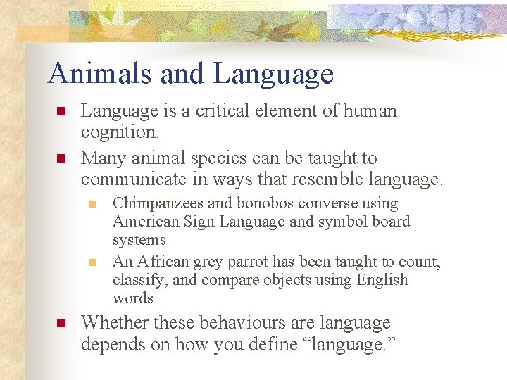 Animals and Language n n Language is a critical element of human cognition. Many