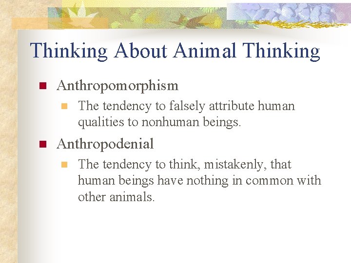 Thinking About Animal Thinking n Anthropomorphism n n The tendency to falsely attribute human