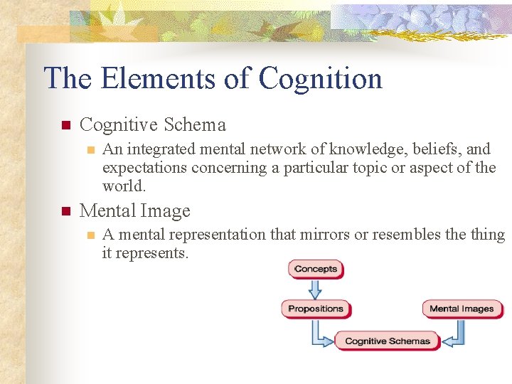 The Elements of Cognition n Cognitive Schema n n An integrated mental network of