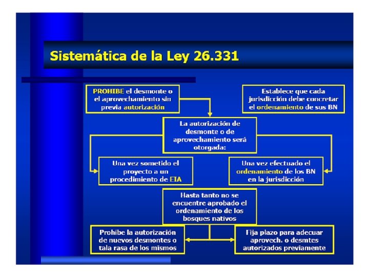 Ley 26. 331 de Presupuestos Mínimos de Protección Ambiental a los Bosques Nativos 