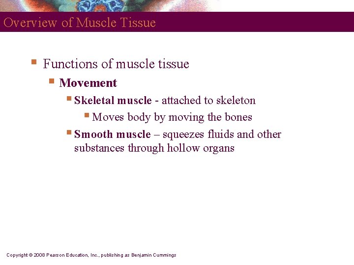 Overview of Muscle Tissue § Functions of muscle tissue § Movement § Skeletal muscle