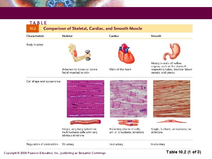 Copyright © 2008 Pearson Education, Inc. , publishing as Benjamin Cummings Table 10. 2